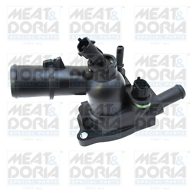 Thermostat, coolant